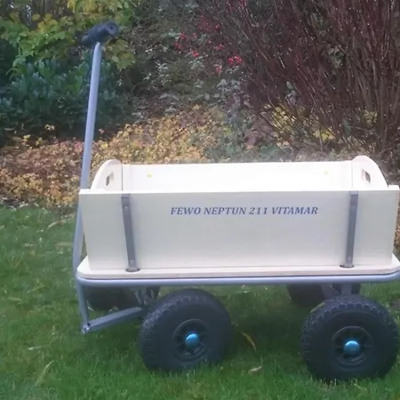 Neptune 211 Dorumer Neufeld