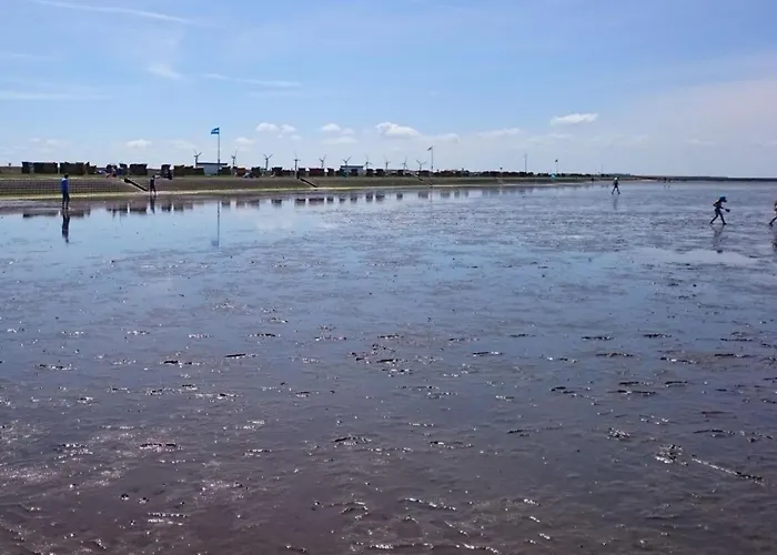 Neptune 211 شقة دورم نيوفيلد